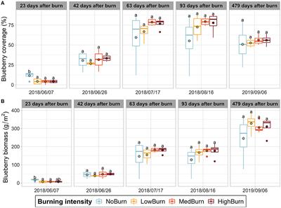 Limited effect of thermal pruning on wild blueberry crop and its root-associated microbiota